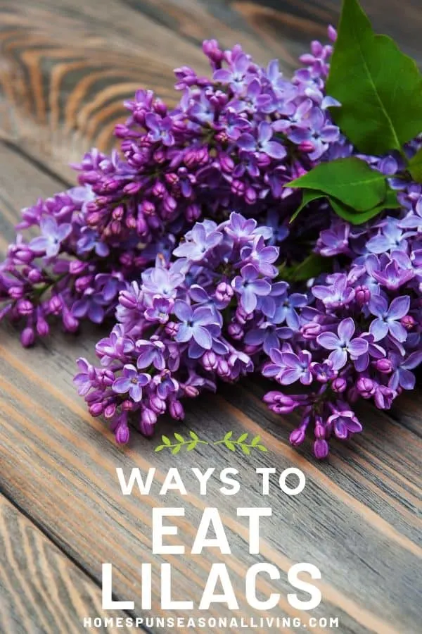 Ways To Eat Lilacs Homespun Seasonal Living