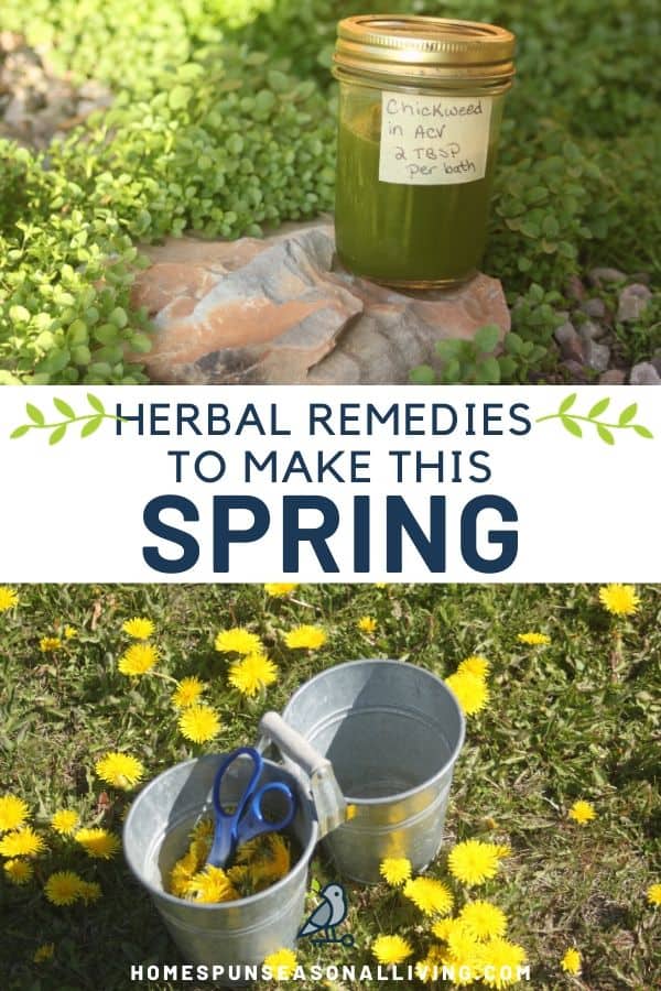 A collage of stacked photos and text with a jar of chickweed bath vinegar sitting on a rock, and a bucket surrounded by a field of dandelions in bloom.