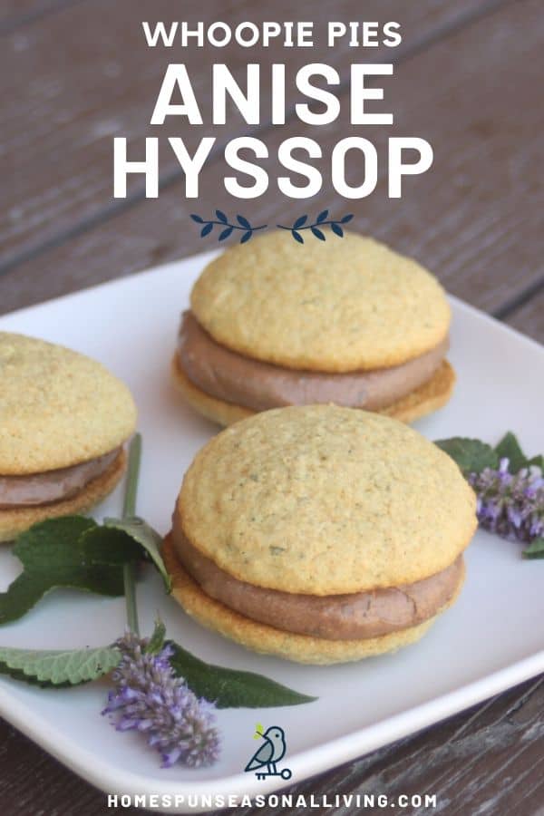 Anise hyssop cookies on a white plate with sprigs of fresh anise hyssop flowers and text overlay. 