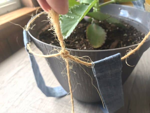 Twine being tied to the twine around the top of the planter