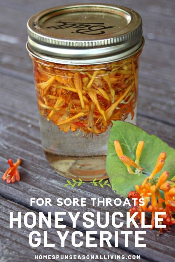 A jar of honeysuckle flowers submerged in vegetable glycerin sitting on a table surrounded by fresh honeysuckle flowers.