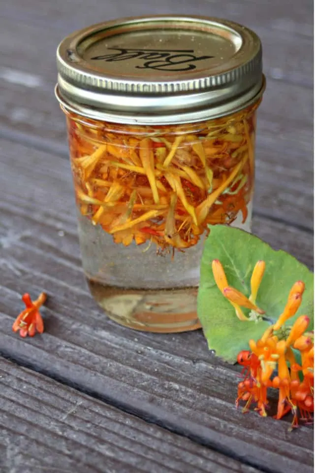 A jar of honeysuckle flowers submerged in vegetable glycerin sitting on a table surrounded by fresh honeysuckle flowers.