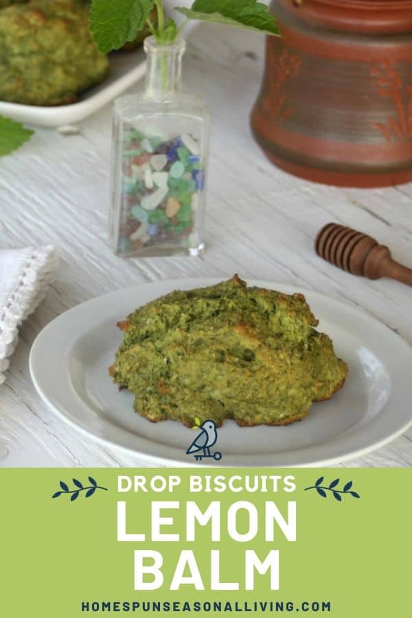 A lemon balm drop biscuit on a white plate with a napkin and honey dipper on a table includes text overlay.