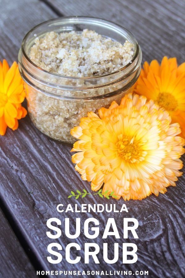 An open jar of calendula sugar scrub surrounded by fresh calendula flowers with text overlay. 