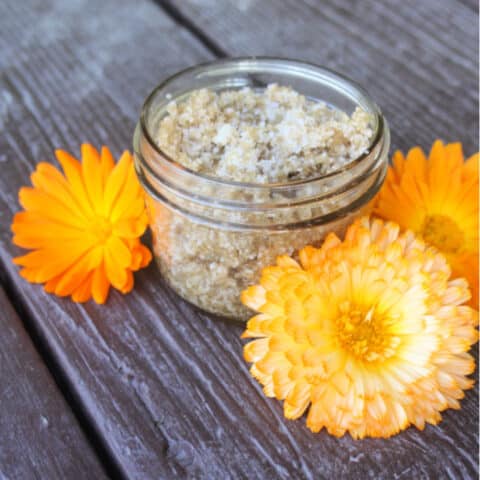 An open jar of calendula sugar scrub surrounded by fresh calendula flowers.