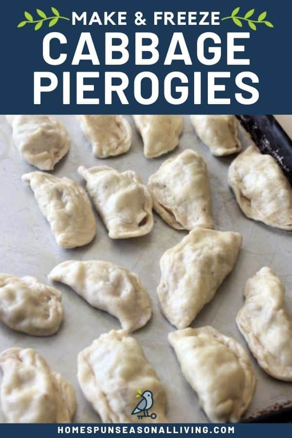 Frozen bacon and cabbage pierogies on a cookie sheet with text overlay.