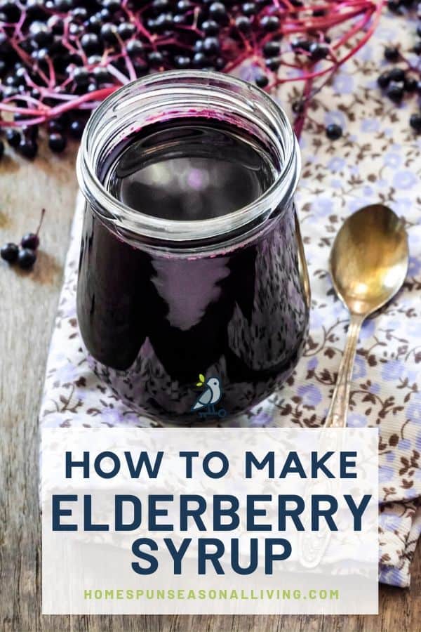 How to Use a Steam Juicer  Make Your Own Elderberry Juice with