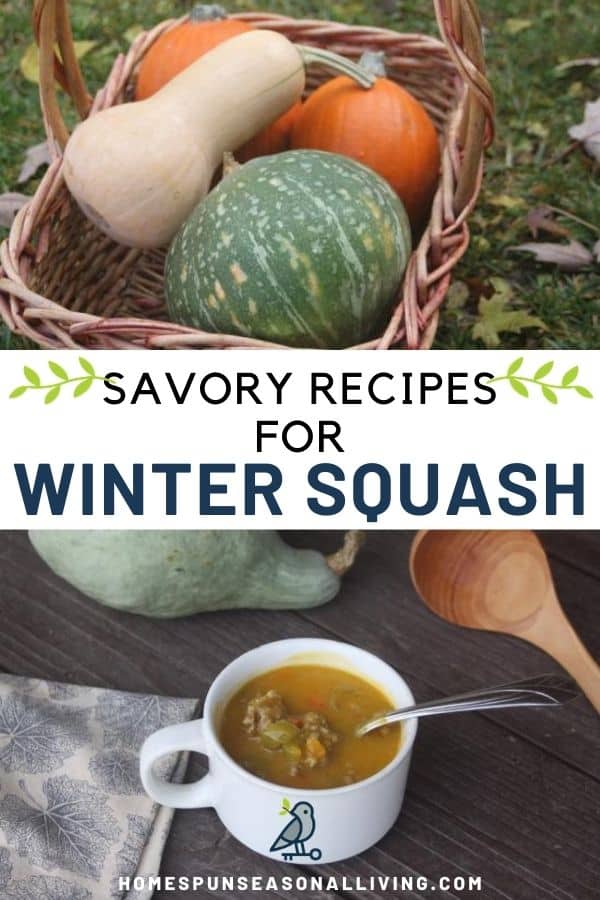 A stack of graphics with a photo of a basket of winter squash on top, text overlay in the middle, and a white cup of hubbard squash soup on the bottom. 