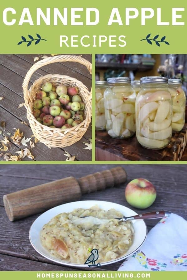 A collage of photos including a basket of fresh apples, jars of canned apple slices, and a bowl of sauerkraut and apples with text overlay stating: canned apple recipes.