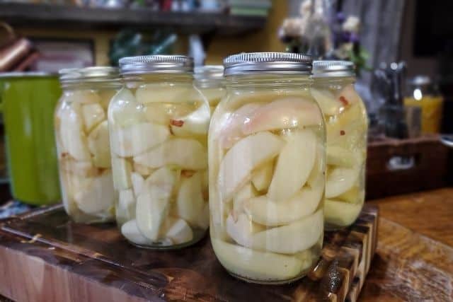 Jars of canned apple slices lined up on a kitchen counter.
