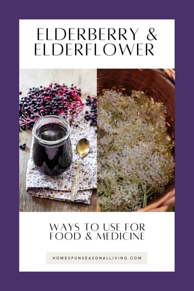 A purple border surrounds a white graphic with text reading: Elderberry & Elderflower: how to use for food & medicine. Photos of elderberry syrup and elderberry flowers are inside the white box. 
