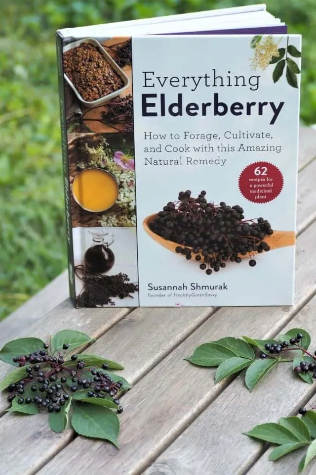 The book everything elderberry sitting on a picnic table with fresh leaves and elderberries surrounding it.