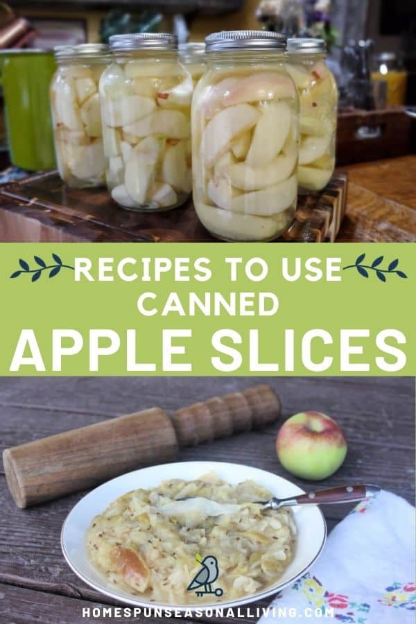 A photo of jars of canned apple slices sitting on a counter, stacked on top of text overlay stating: recipes to use canned apple slices, stacked on top of a bowl of sauerkraut and apples.