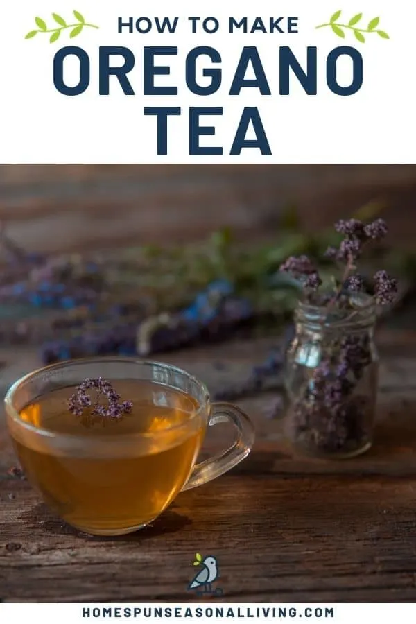 A clear cup full of herbal tea with glass vase full of dried oregano flowers in the background with text overlay reading how to make oregano tea.