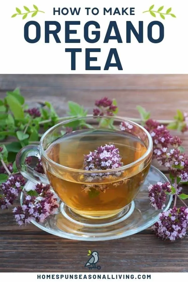 A glass cup full of tea with oregano flowers inside the cup and surrounding the cup with text overaly reading how to make oregano tea.