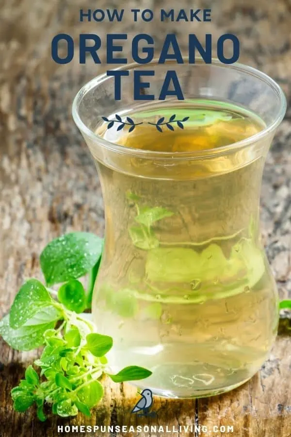 A glass full of light colored tea with a sprig of fresh oregano sitting to the side of it with text overlay reading how to make oregano tea.
