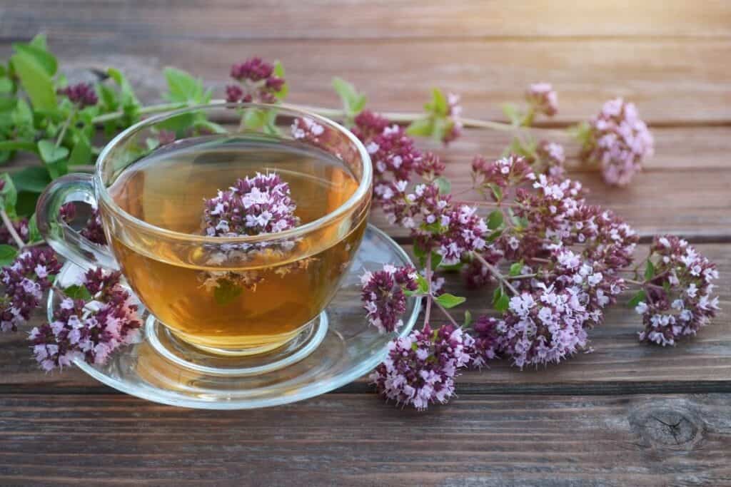 A glass cup full of tea with oregano flowers inside the cup and surrounding the cup.