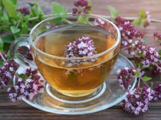 A glass cup full of tea with oregano flowers inside the cup and surrounding the cup.