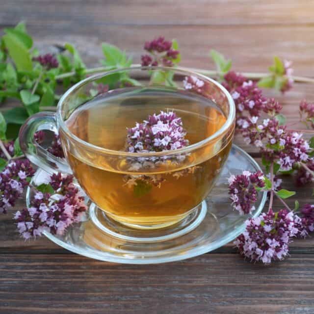 How to Make Amazing Homemade Oregano Tea Homespun Seasonal Living