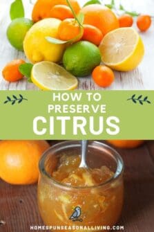 Ways To Preserve Citrus - Homespun Seasonal Living