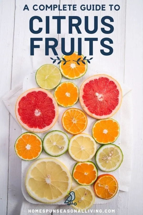 A variety of citrus fruit slices on a white wooden board with text overlay stating: a complete guide to citrus fruits.
