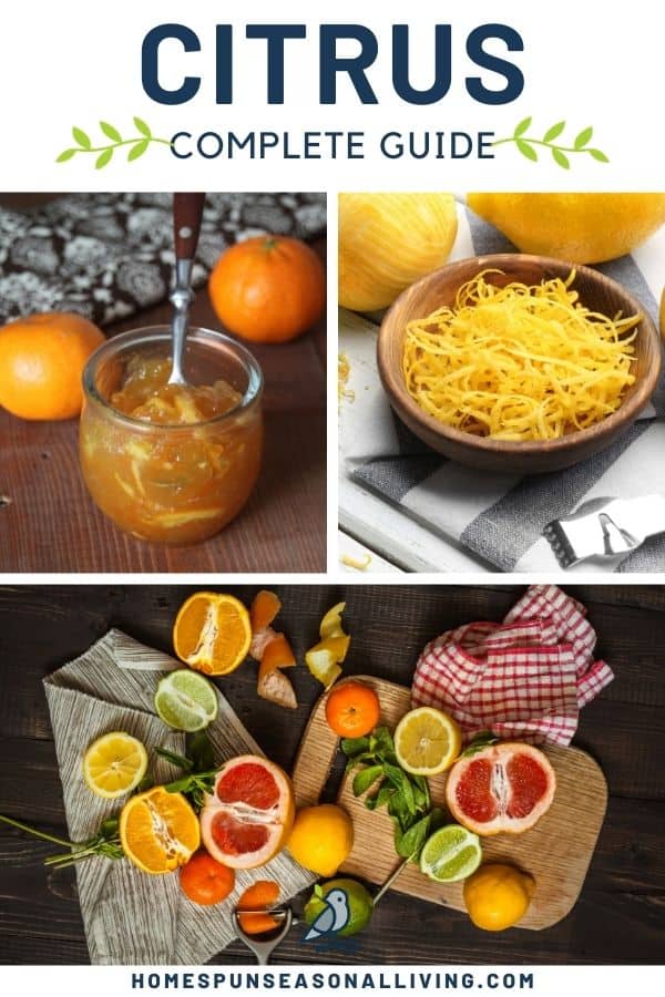 A text block stating: citrus complete guide sitting on top of two photos. the photo on the left is an open jar of marmalade surrounded by clementies, the photo on the right is a bowl of lemon peel strips. Those photos sitting on top of another photo ofA variety of citrus whole and cut in half on a wooden board and linens scattered on a table.