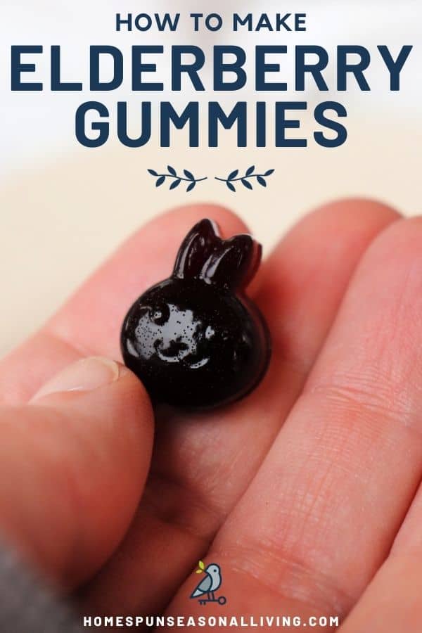 A purple bunny shaped gummie in a woman's hand with text overlay stating: how to make elderberry gummies.