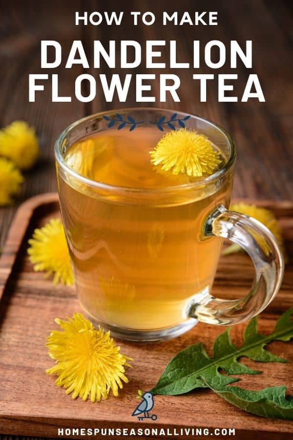 https://homespunseasonalliving.com/wp-content/uploads/2021/03/dandelion-flower-tea-pin-1.jpg