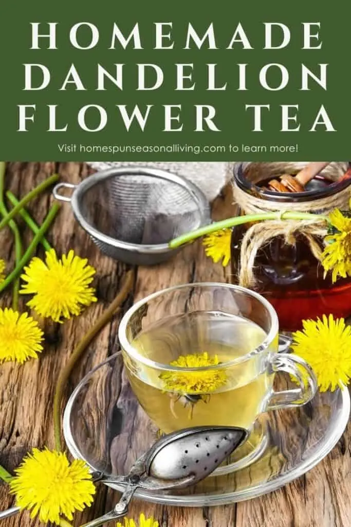 A clear glass mug full of yellow tea sitting on a saucer surrounded by a metal tea ball, dandelion flowers, and a bowl of honey with text overlay stating: homemade dandelion flower tea.