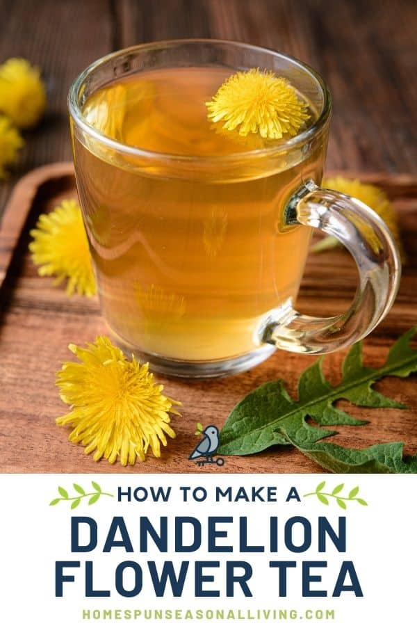 A clear glass mug full of tea with a dandelion blossom floating inside. The mug is sitting on a board surrounded by dandelion flowers and leaves with text overlay stating: how to make dandelion flower tea.