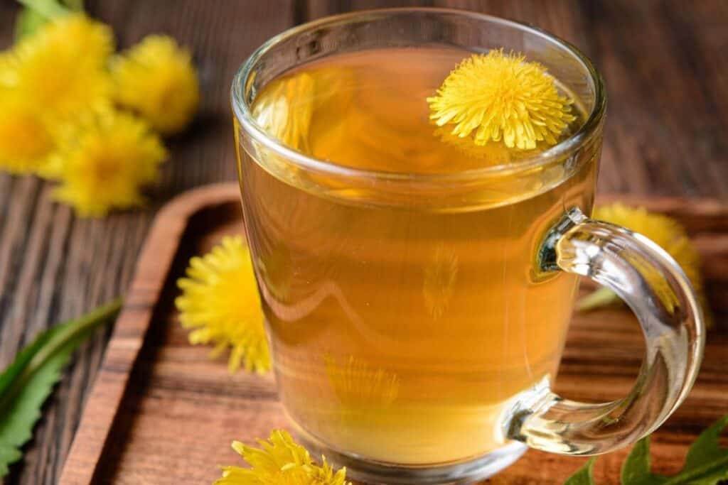 A clear glass mug full of tea with a dandelion blossom floating inside. The mug is sitting on a board surrounded by dandelion flowers and leaves.