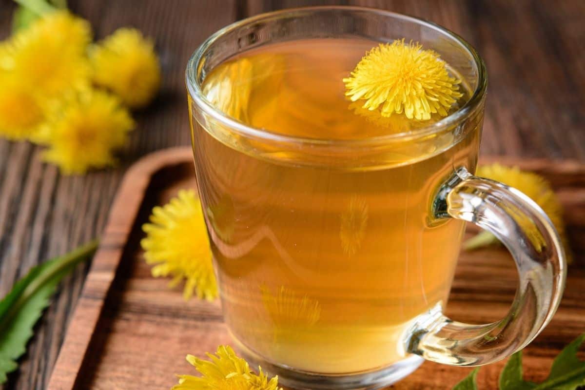 Dandelion Tea Recipe - Homespun Seasonal Living