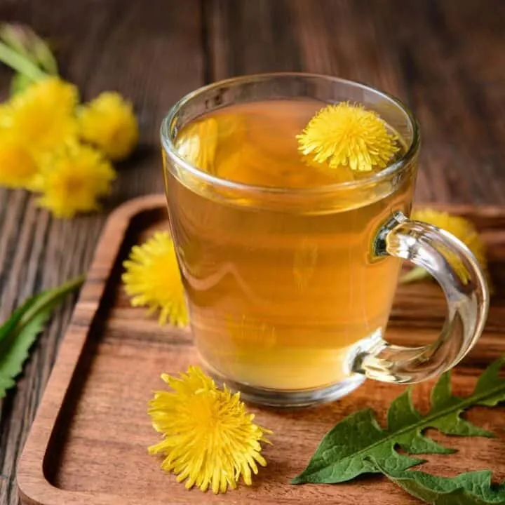 A clear glass mug full of tea with a dandelion blossom floating inside. The mug is sitting on a board surrounded by dandelion flowers and leaves.