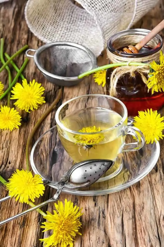 A clear glass mug full of yellow tea sitting on a saucer surrounded by a metal tea ball, dandelion flowers, and a bowl of honey.