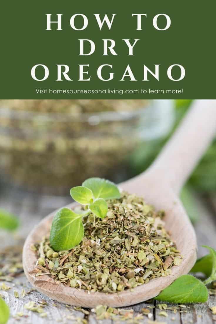 How to Dry Oregano Homespun Seasonal Living