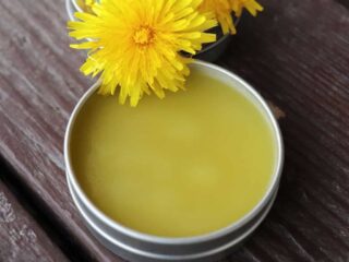 An open metal tin of salve sitting on table with fresh dandelion blossoms.