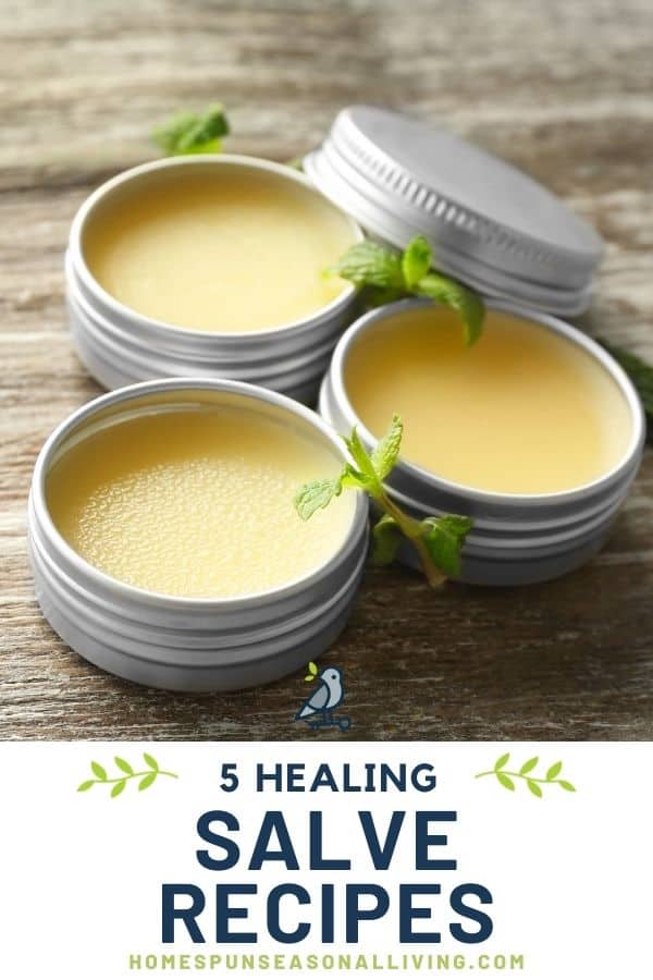 Make 5 Healing Salves in 1 Afternoon - Homespun Seasonal Living