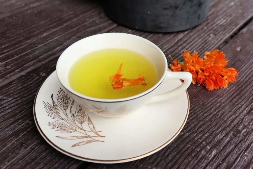 A teacup full of honeysuckle tea with orange blossoms floating on top, sitting on a saucer, fresh honeysuckle blossoms sitting to the right of the saucer, and a teapot behind.