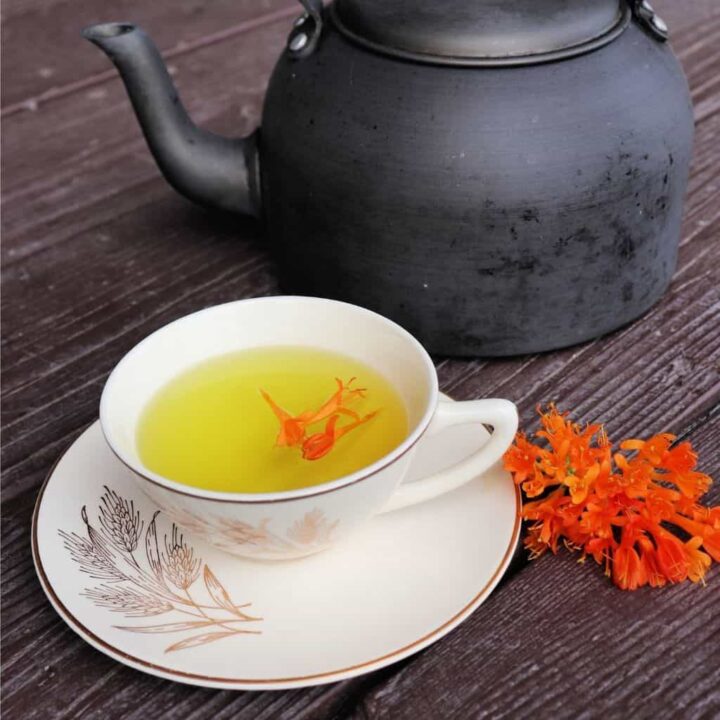 A teacup sitting on a saucer full of honeysuckle tea with orange honeysuckle blossoms floating inside, fresh honeysuckle blossoms sitting to the right of the saucer, and a teapot behind.