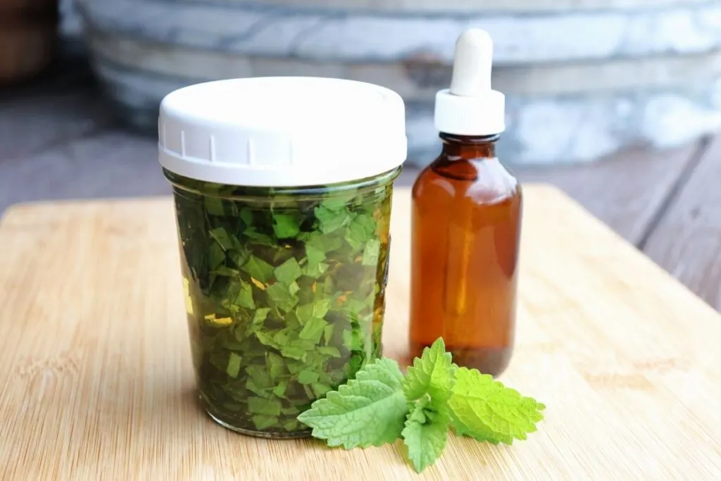 A canning jar full of chopped leaves submerged in liquid sitting next to a brown dropper bottle with fresh lemon balm leaves on the table.