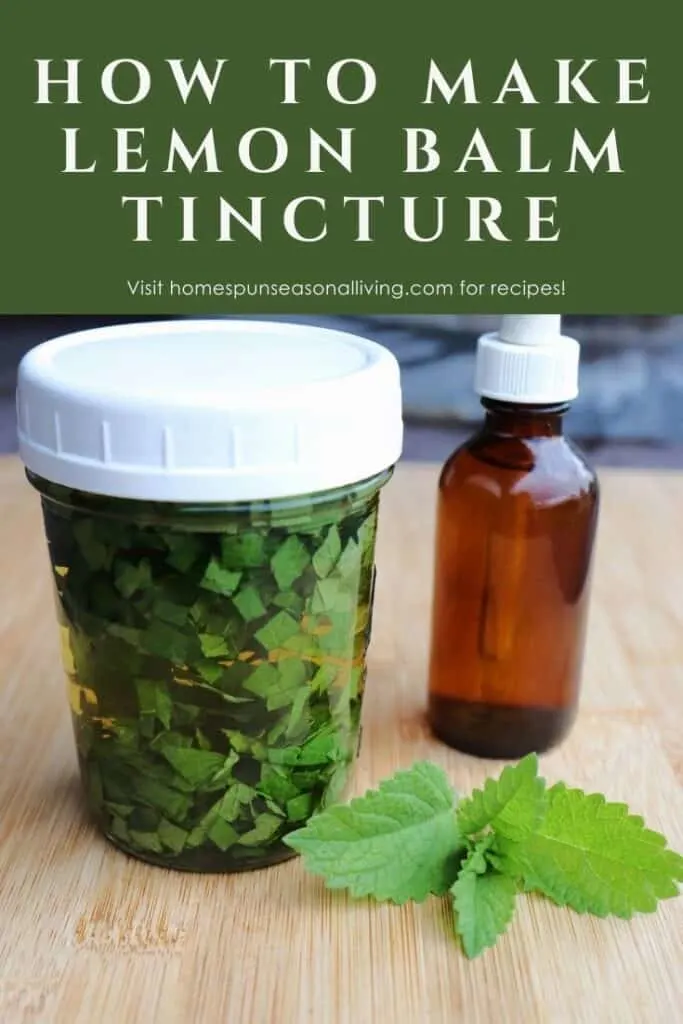A canning jar full of chopped leaves submerged in liquid sitting next to a brown dropper bottle with fresh lemon balm leaves on the table with text overlay reading how to make lemon balm tincture.