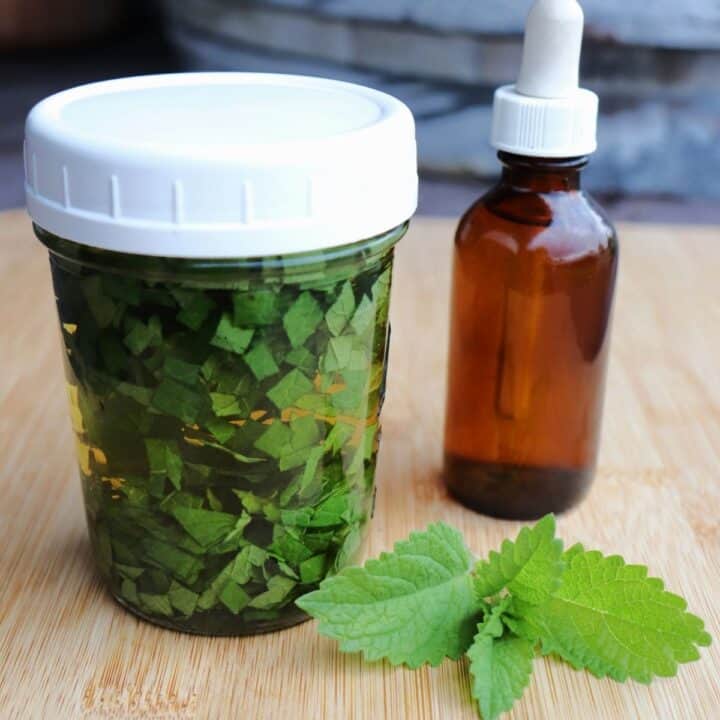 A canning jar full of chopped leaves submerged in liquid sitting next to a brown dropper bottle with fresh lemon balm leaves on the table.