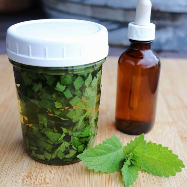 Lemon Balm Tincture Homespun Seasonal Living