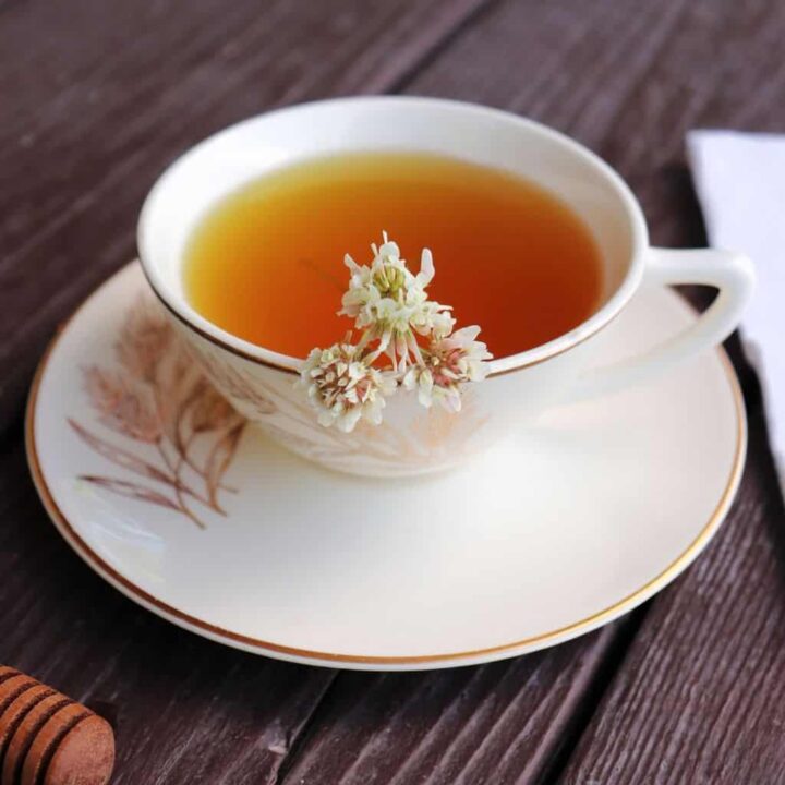 A teacup filled with tea sitting on a saucer, white clover flowers floating in the tea.