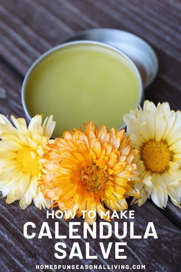 An open tin of calendula salve surrounded by fresh orange and yellow calendula flowers with text overlay stating: how to make calendula salve.