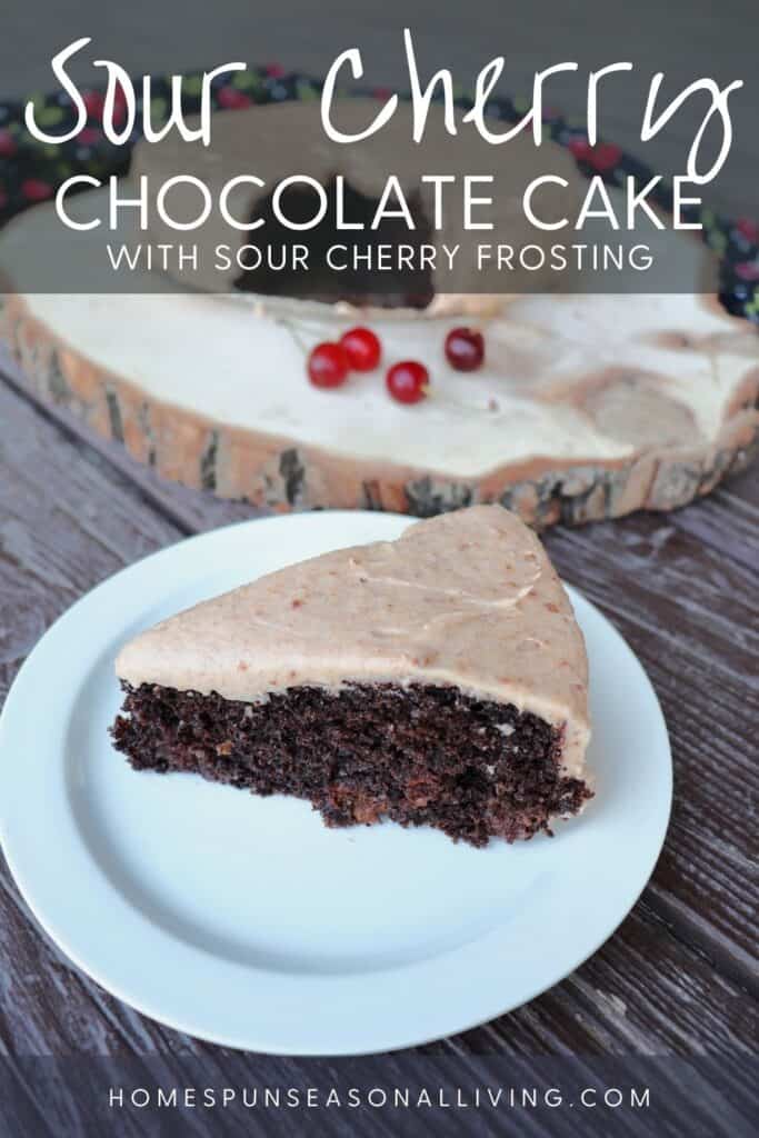 A slice of frosted chocolate cake on a white plate with the remaining cake sitting on a round wooden plank with fresh cherries behind it with text overlay reading: sour cherry chocolate cake with sour cherry frosting.