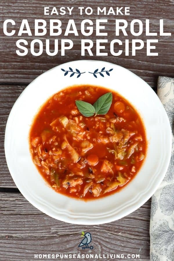 A white bowl full of soup in a tomato broth as seen from above with text overlay stating: Easy to Make Cabbage roll soup recipe.