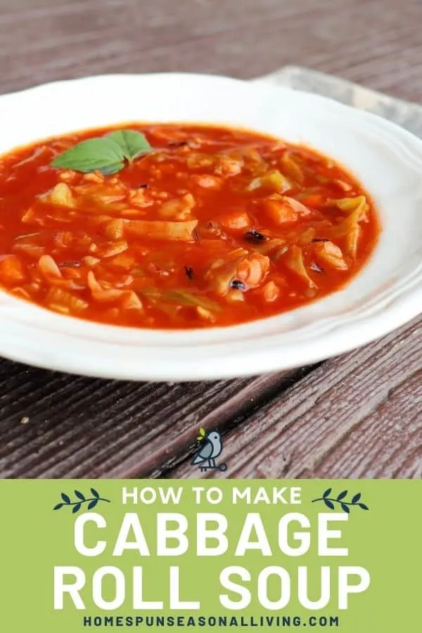 A white bowl full of vegetable soup in red broth with text overlay stating: how to make cabbage roll soup.