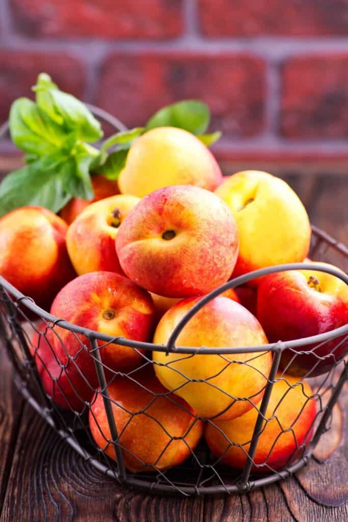 A wire basket full of fresh, ripe nectarines. 