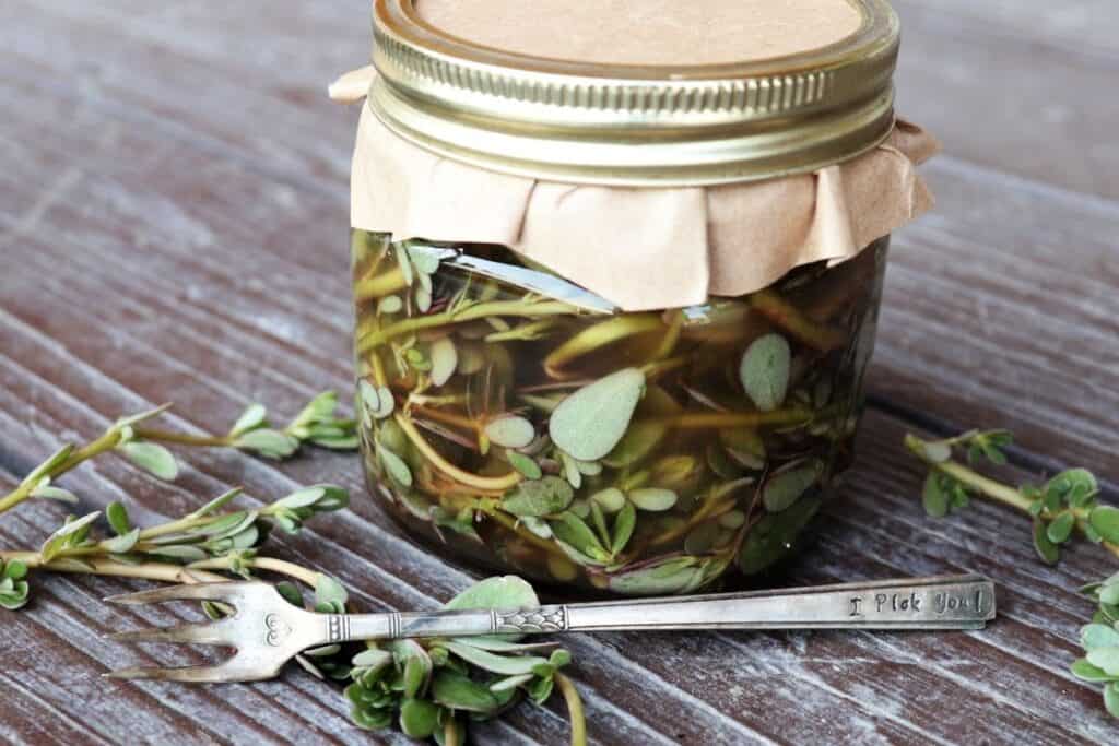 A canning jar with brown paper over the lid, full of purslane stems in a pickling brine surrounded by fresh purslane and a fork on a table.